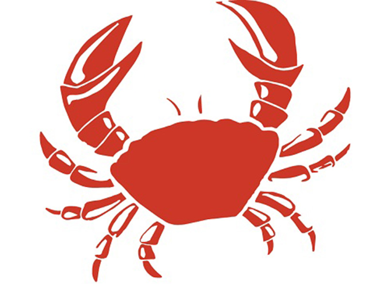 ذهنیت خرچنگی